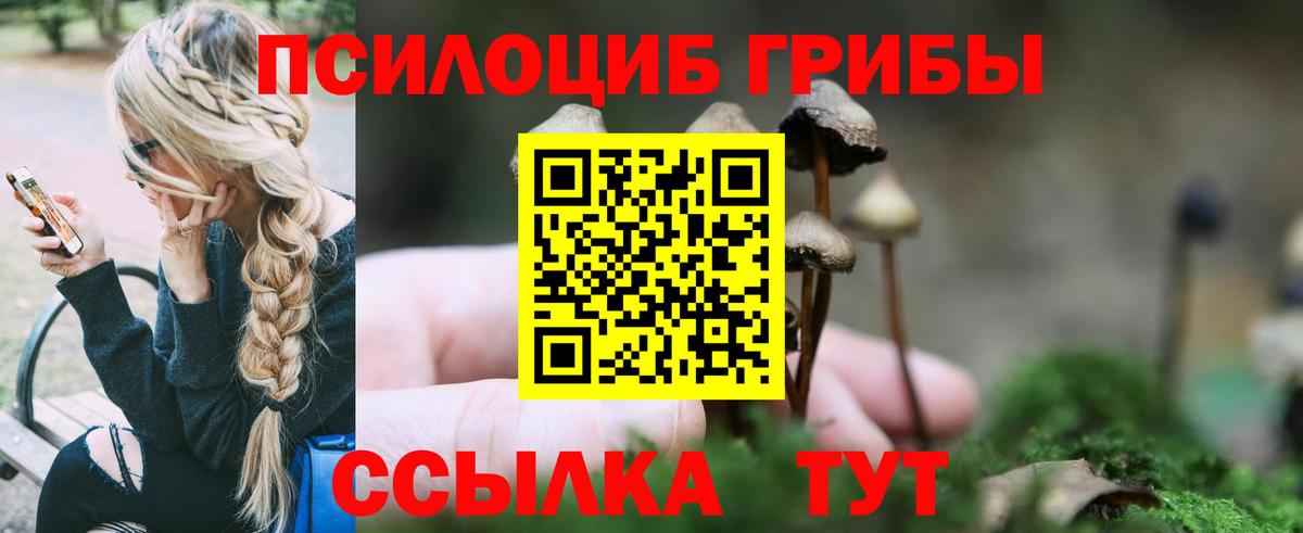 Галлюциногенные грибы Magic Shrooms  Псилоцибиновые грибы прущие грибы  Нефтеюганск  Вход с VPN 